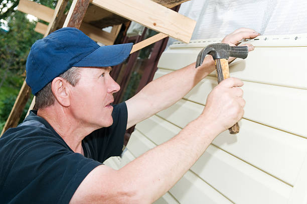 Best Vinyl Siding Installation  in Litchfield Park, AZ