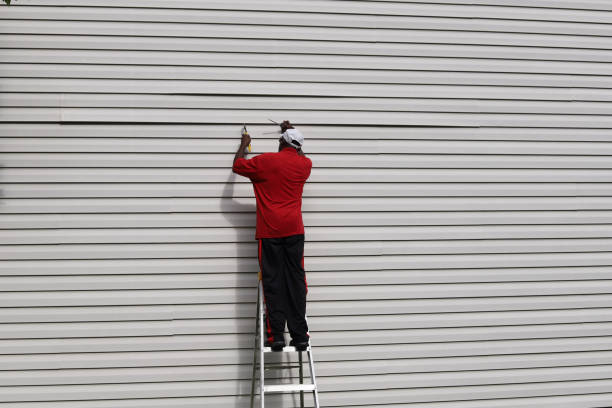 Best Wood Siding Installation  in Litchfield Park, AZ